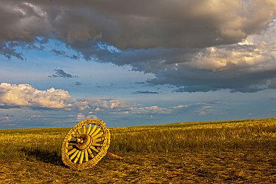 猫咪冒险游戏《迷失》发布1.04版补丁 加入无障碍选项